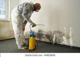 Best Mold Removal for HVAC Installations  in Palisade, CO